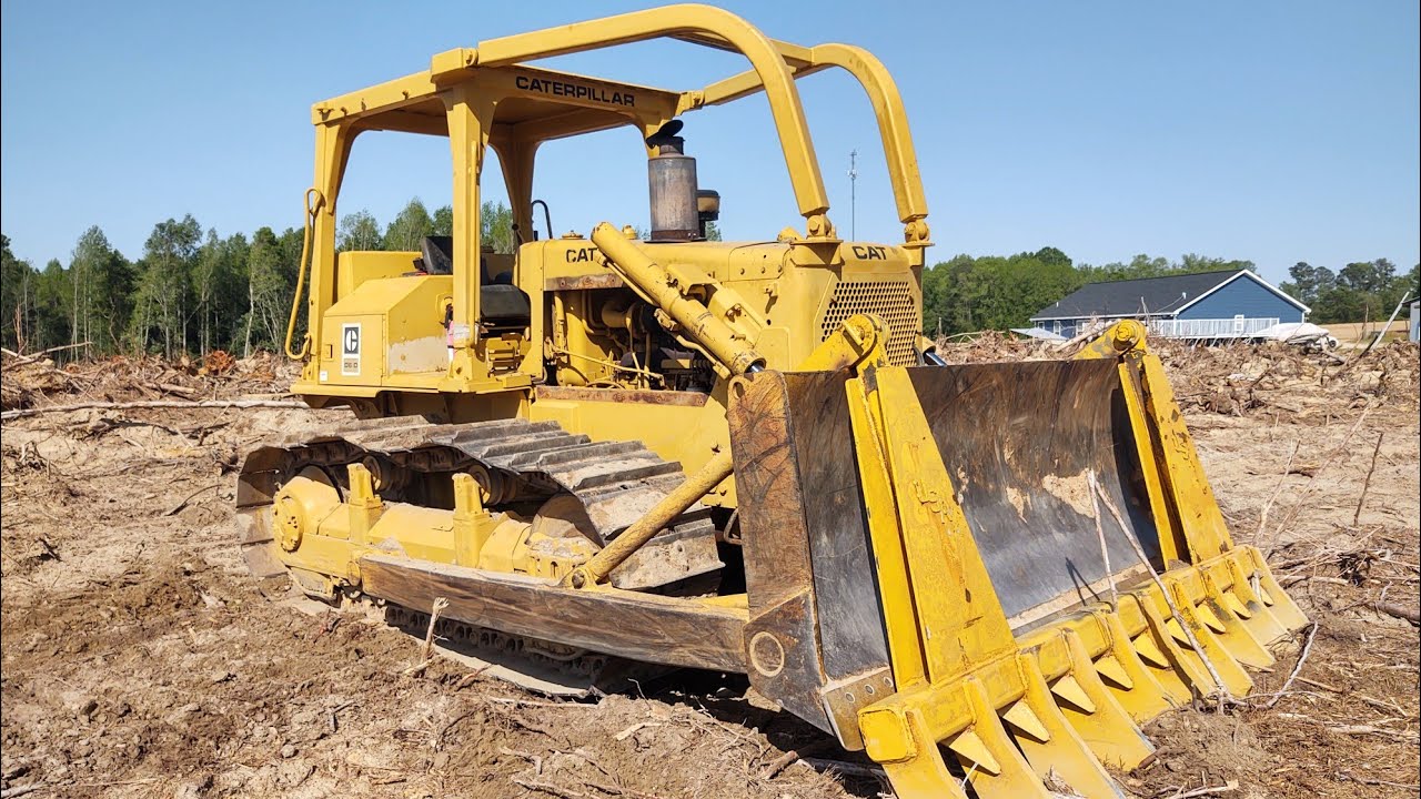 Ole Cat Is Fixed And Ready To Eat Stumps!