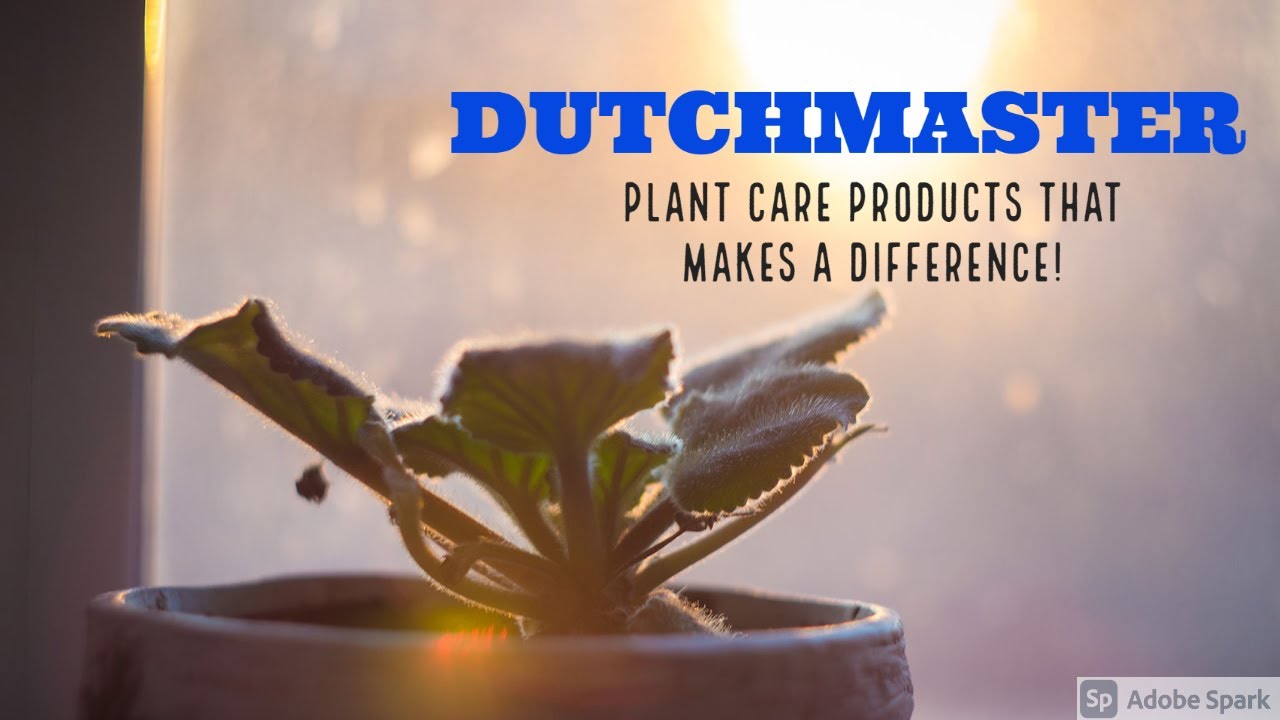 DutchMaster Nutrients