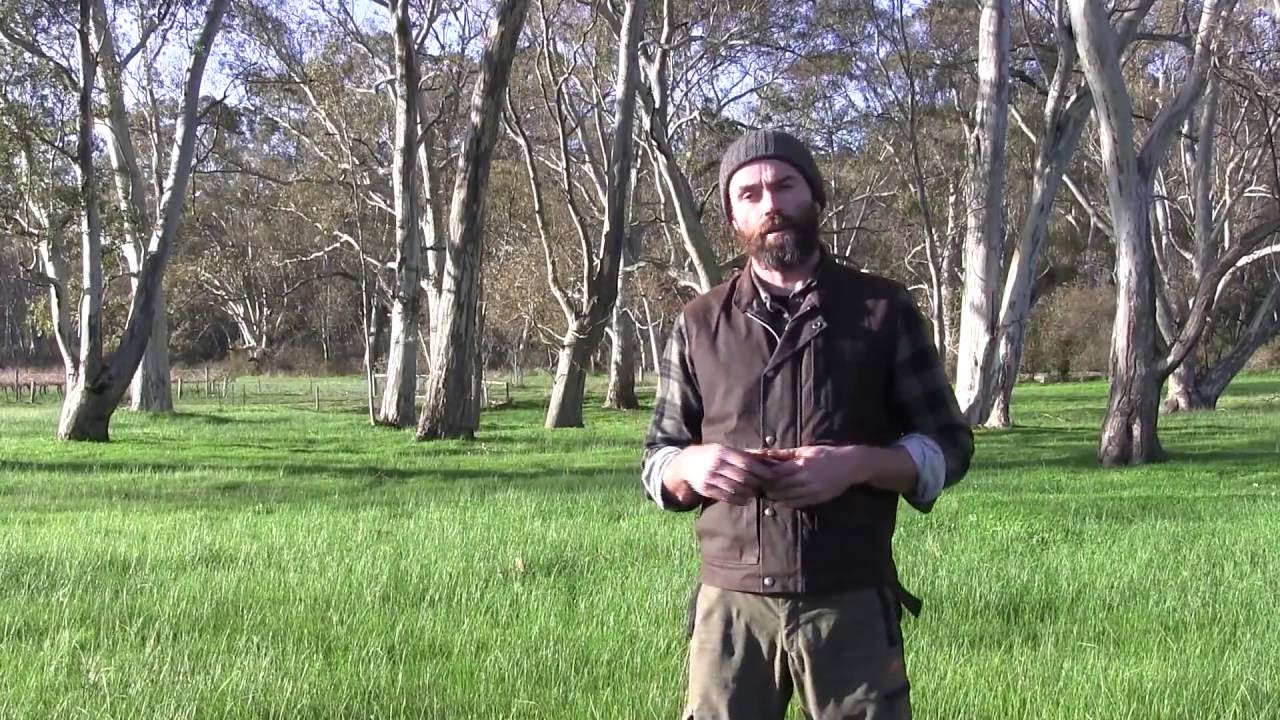 2016 Vermeer SherrillTree Australian Arborist Seminar Series - Introduction by Joe Harris