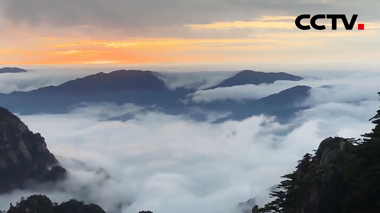 惊艳一整天！黄山现云海日出奇观 | CCTV