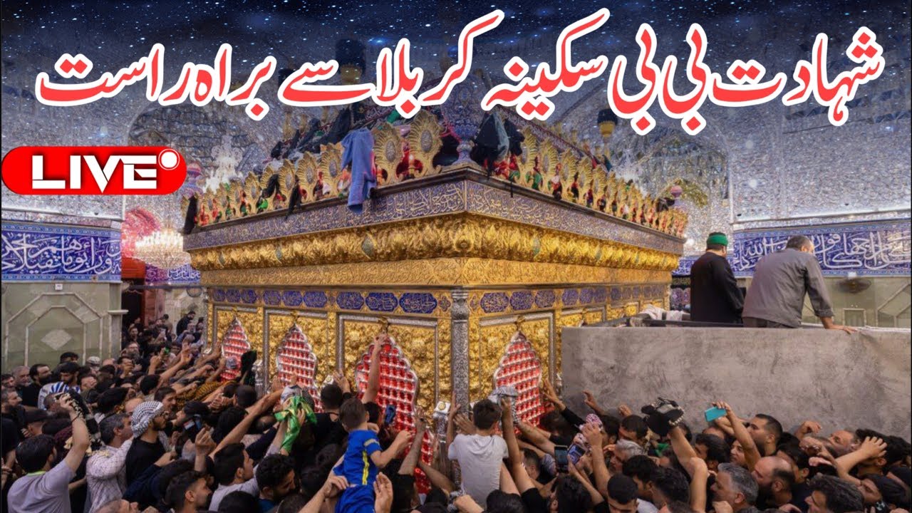 13 safar shahadat bibi sakina live from karbala | Karbala mein shahadat bibi sakina sa ka pursa #hd