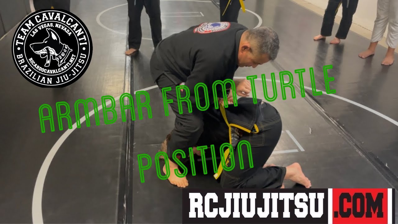 Armbar from turtle position