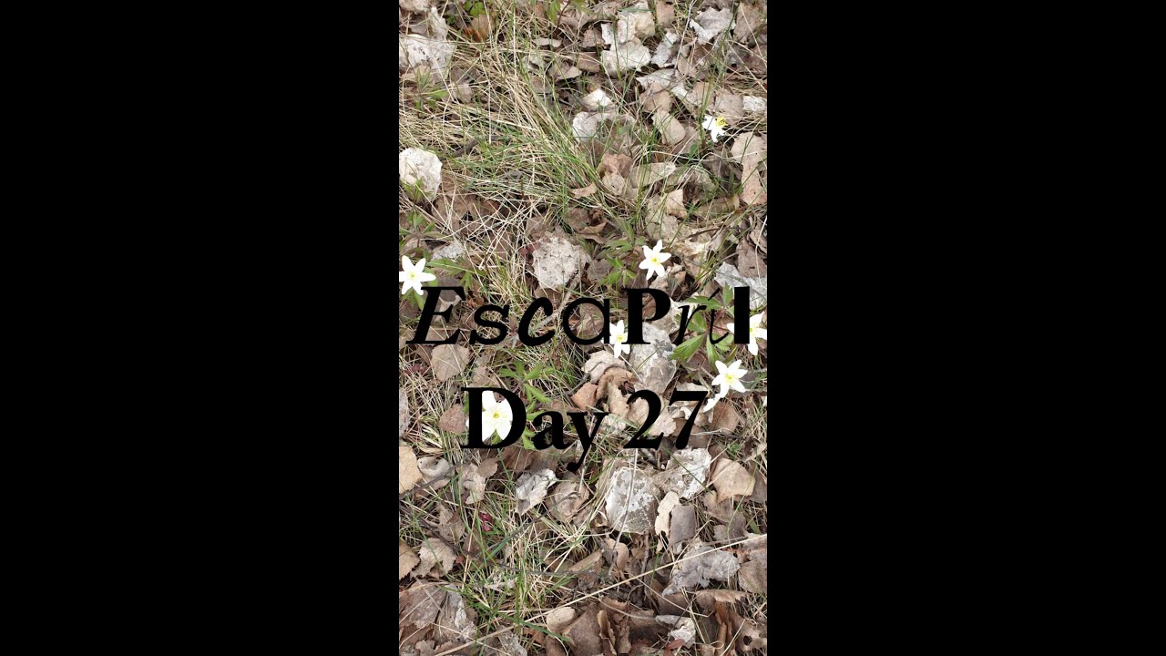 Escapril Day 27