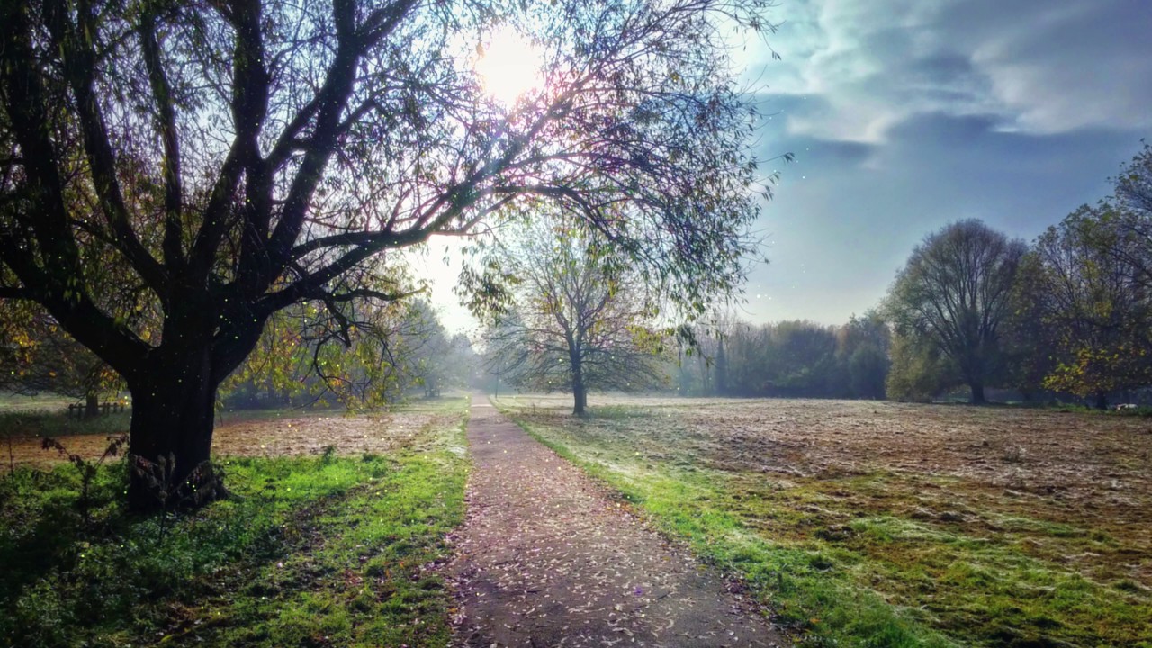 Creative Commons | Free to Use this Nature Video in Your any Project | Copyright Free