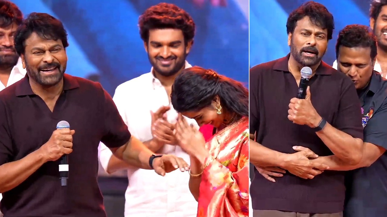 Megastar Chiranjeevi Speech at Chennai Love Story Mega Pre Release Event