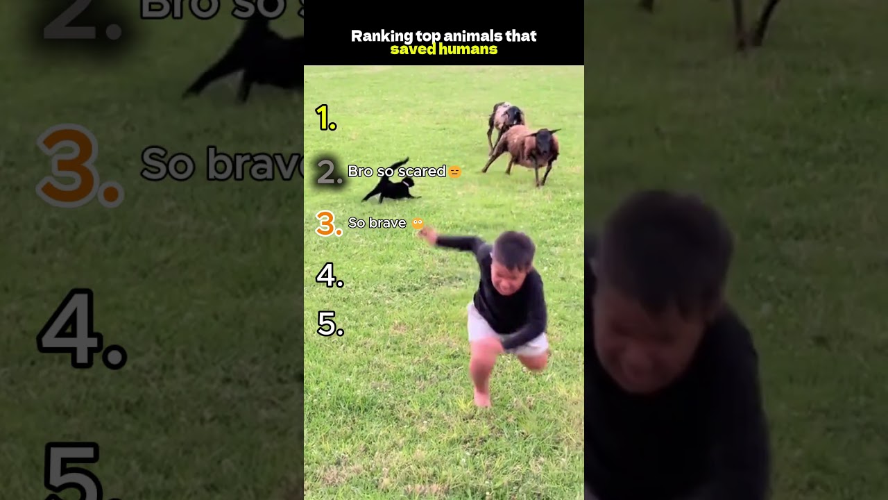 Top 5 Times Animals Saved Humans 😱 | Real Heroes with Fur 🐾 #funny #bestpetsupplies #pets