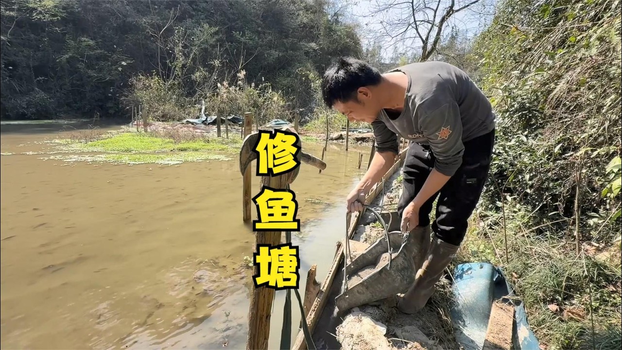 雨锅鱼塘开始硬化，半天才能倒十来米，这工程量有点大