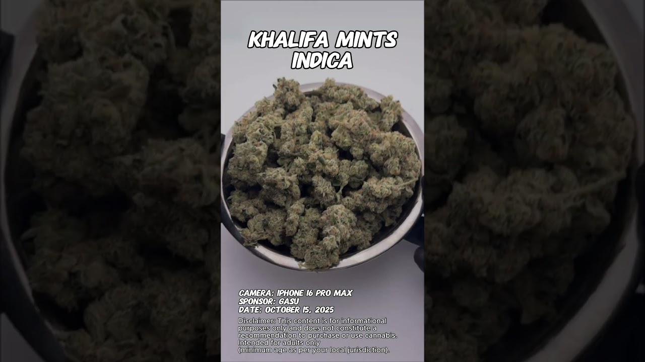 Khalifa Mints | Gasu Sponsored | Strain Spotlight