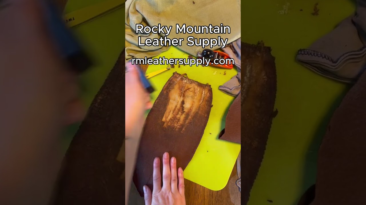 Home Tanning Beaver Tails - Day 14 - Planing!