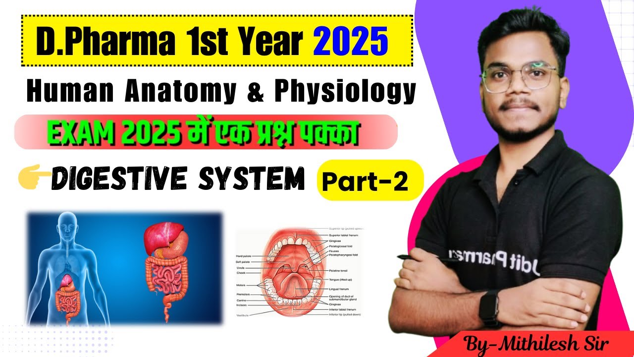 HAP Important Chapter | Digestive System Part-2 | Anatomy & Physiology of GIT | By-Mithilesh Sir