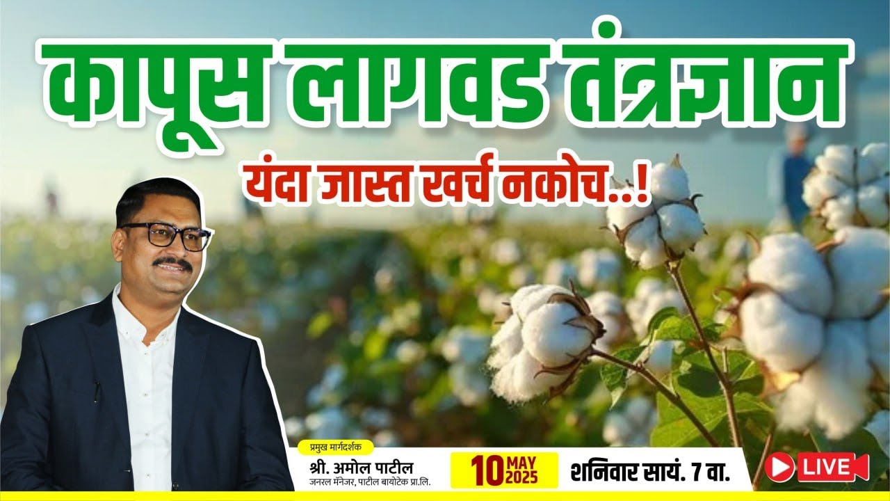 कापूस लागवड तंत्रज्ञान  kapus Lagwad Tantradnyan