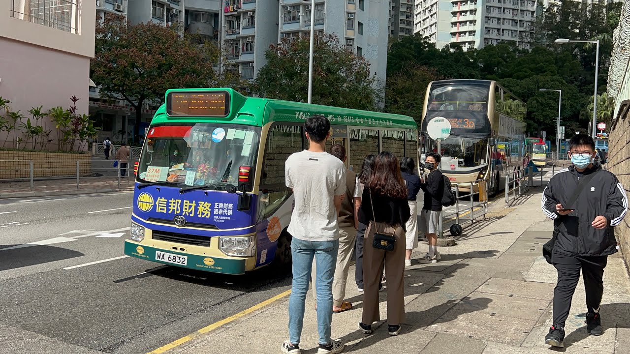 小巴路線評價：九龍綠小路線37M