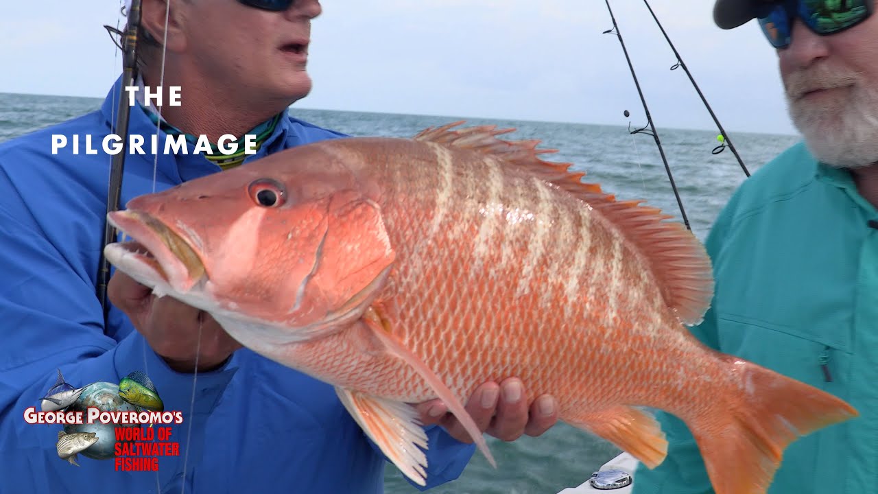 MUTTON & DOG SNAPPER, FLORIDA KEYS - 2022 SEASON - Episode 13; - 4K