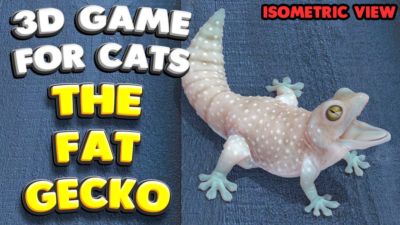 Cat TV | The Fat Gecko (Isometric) | 10 Hours | 4K 60 FPS