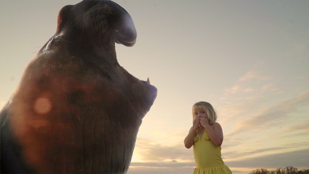 ISLAND OF LOST GIRLS trailer | Cinemagic Film Festival 2022
