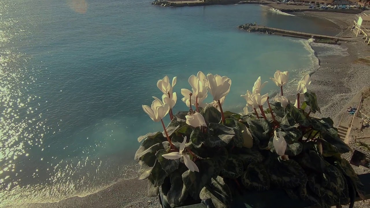 A beautiful afternoon in Bogliasco