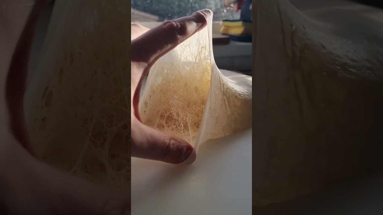 After 24 hrs fermentation at room temp, look at the gluten structure of this dough. #pizza #dough