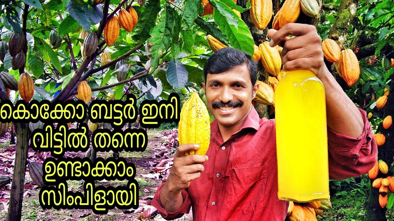 Cocoa Butter Preparation at Home Using Natural Cocoa | How to Make Cocoa Butter at Home