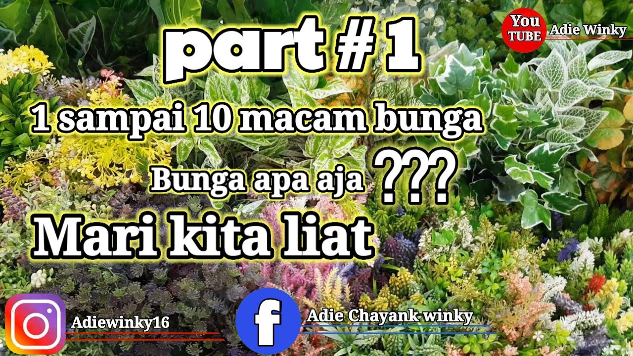 Toko Bunga Plastik Pasar pagi mangga dua