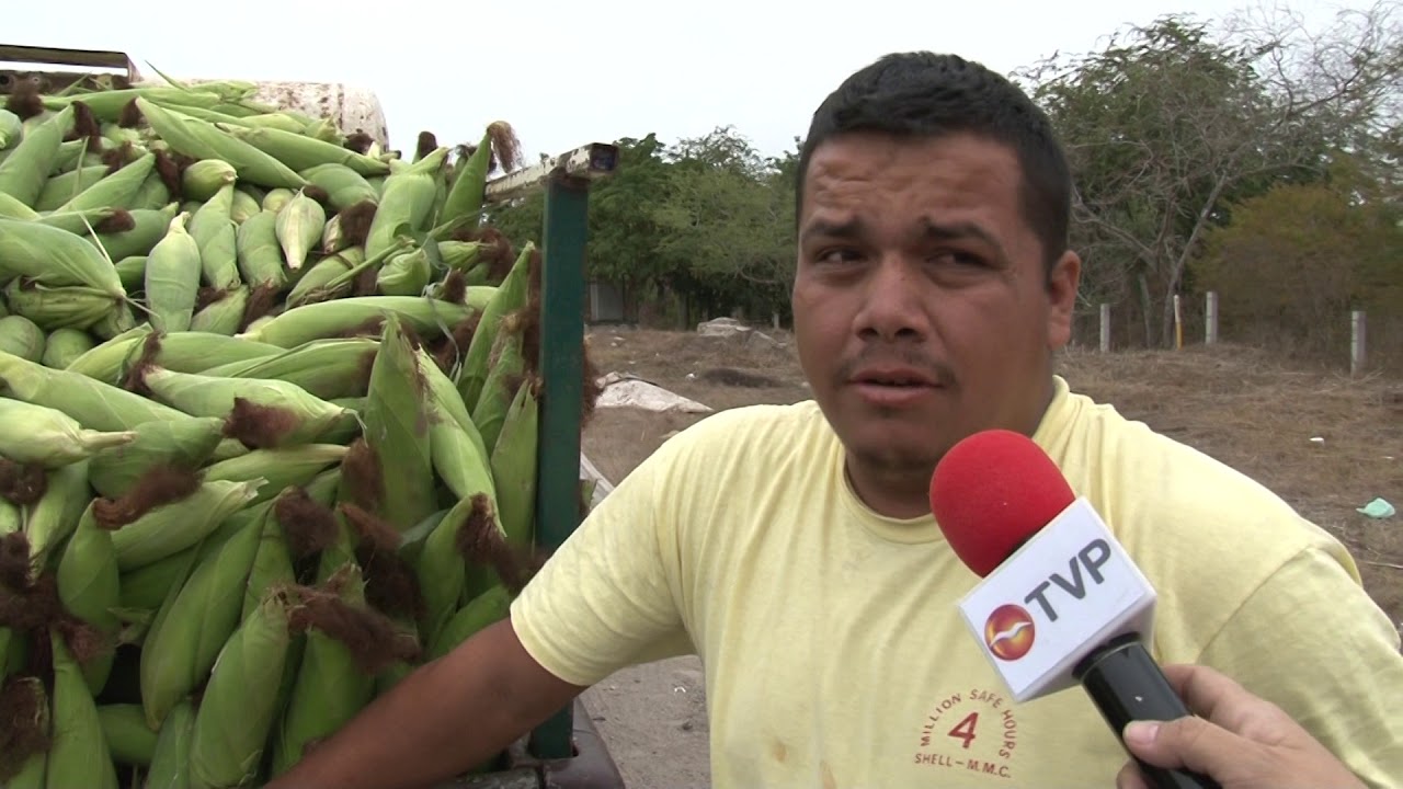 Muy buen negocio