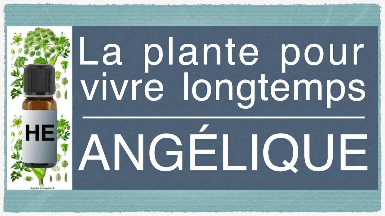 L'éternelle angélique...