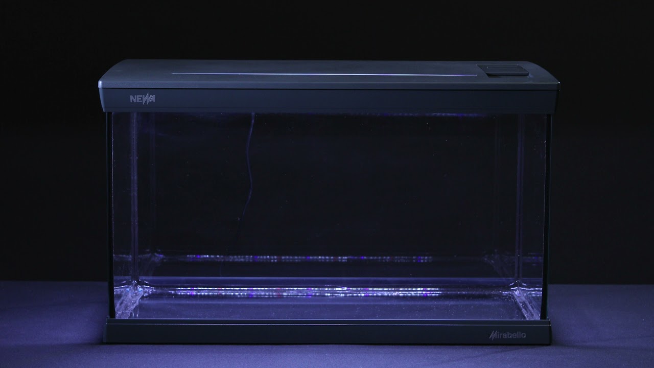 NEWA Mirabello Aquarium 2021
