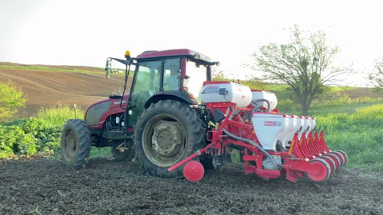 VALTRA A95 Havalı Mibzer Nohut Ekimi (Planting chickpeas in soil)