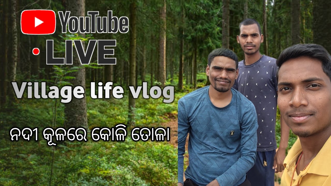 🔴ଆସନ୍ତୁ ଫେରିଯିବା ପିଲା ଦିନକୁ Village vlog| live travel village river #live #live_vlog #OdiaVlog