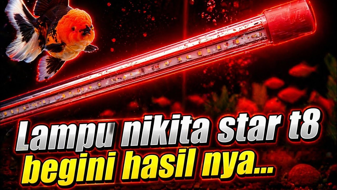 Review Lampu Nikita Star T8 4D || Lampu aquarium dengan fitur wide angle...