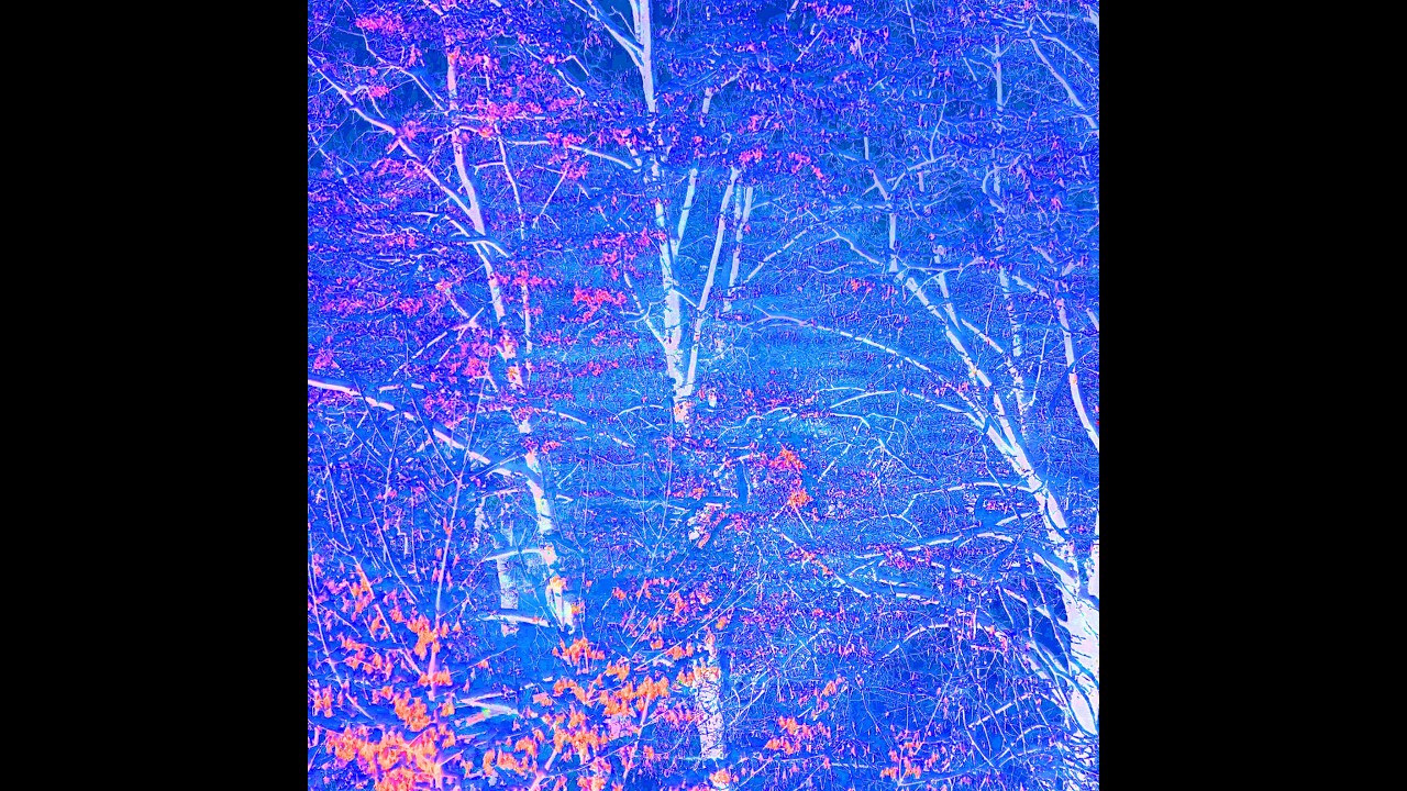 ❄️ Winter Drone in D Minor (2016) ❄️ by audiodefectwave