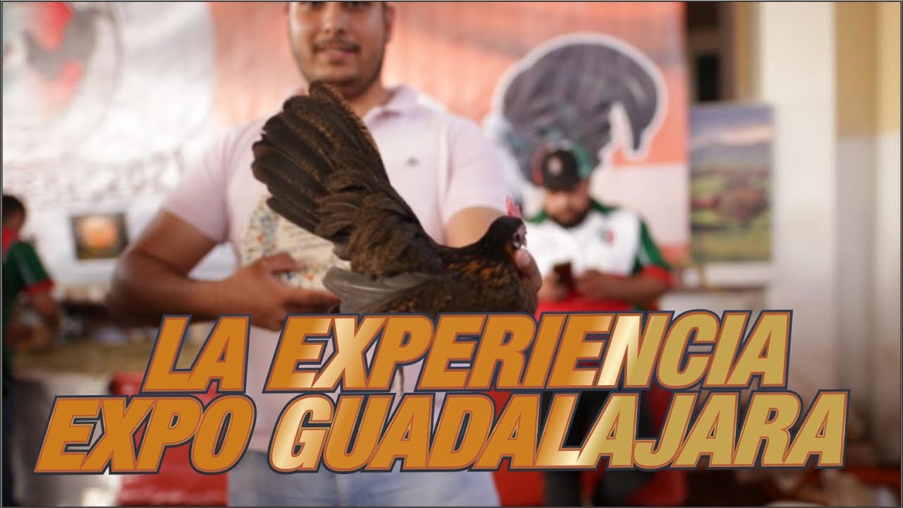 Regale al Cascabel Expo Guadalajara Ep.3