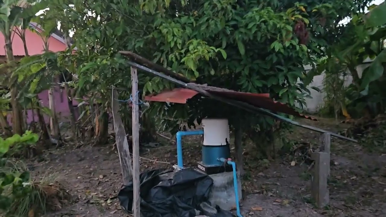 พาชม ส่วนผัก หลังบ้านจ้า01/02/2026