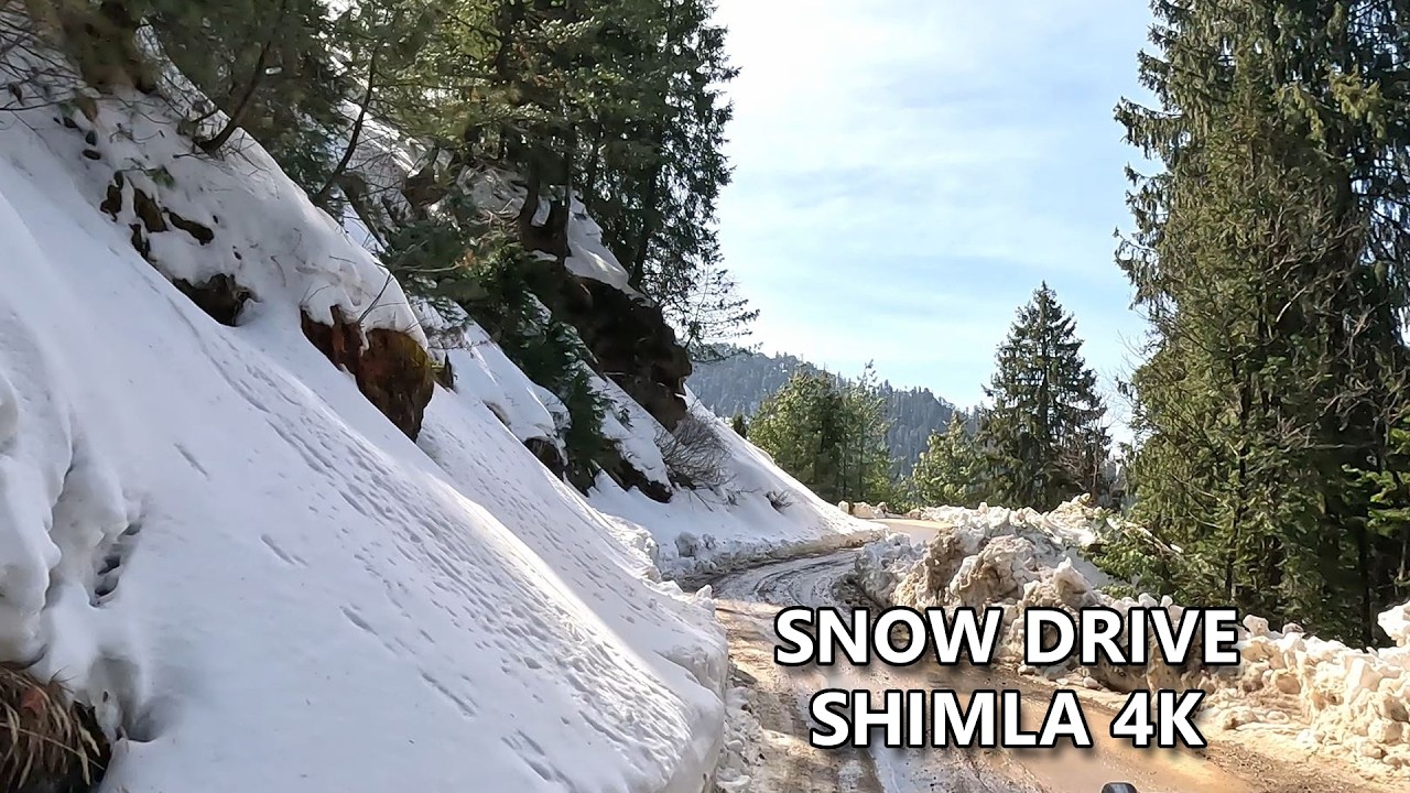 SHIMLA SNOW DRIVE 4K | MY TRIP TO SHIMLA | NARKANDA HIMACHAL PRADESH | TRAVEL VLOG | TWINKLE VIBES