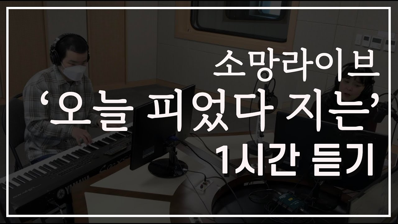 오늘 피었다 지는-한시간 듣기