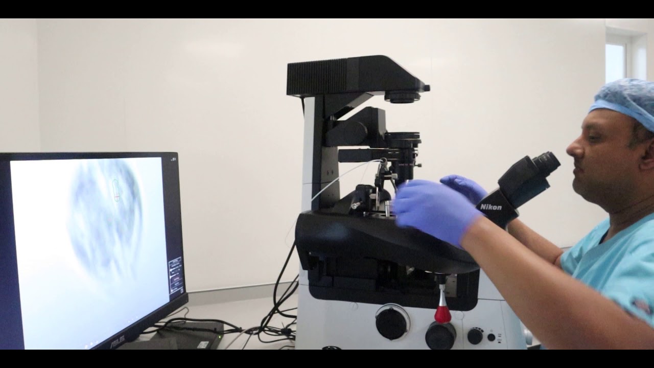 Inside the Lab - Embryo Biopsy
