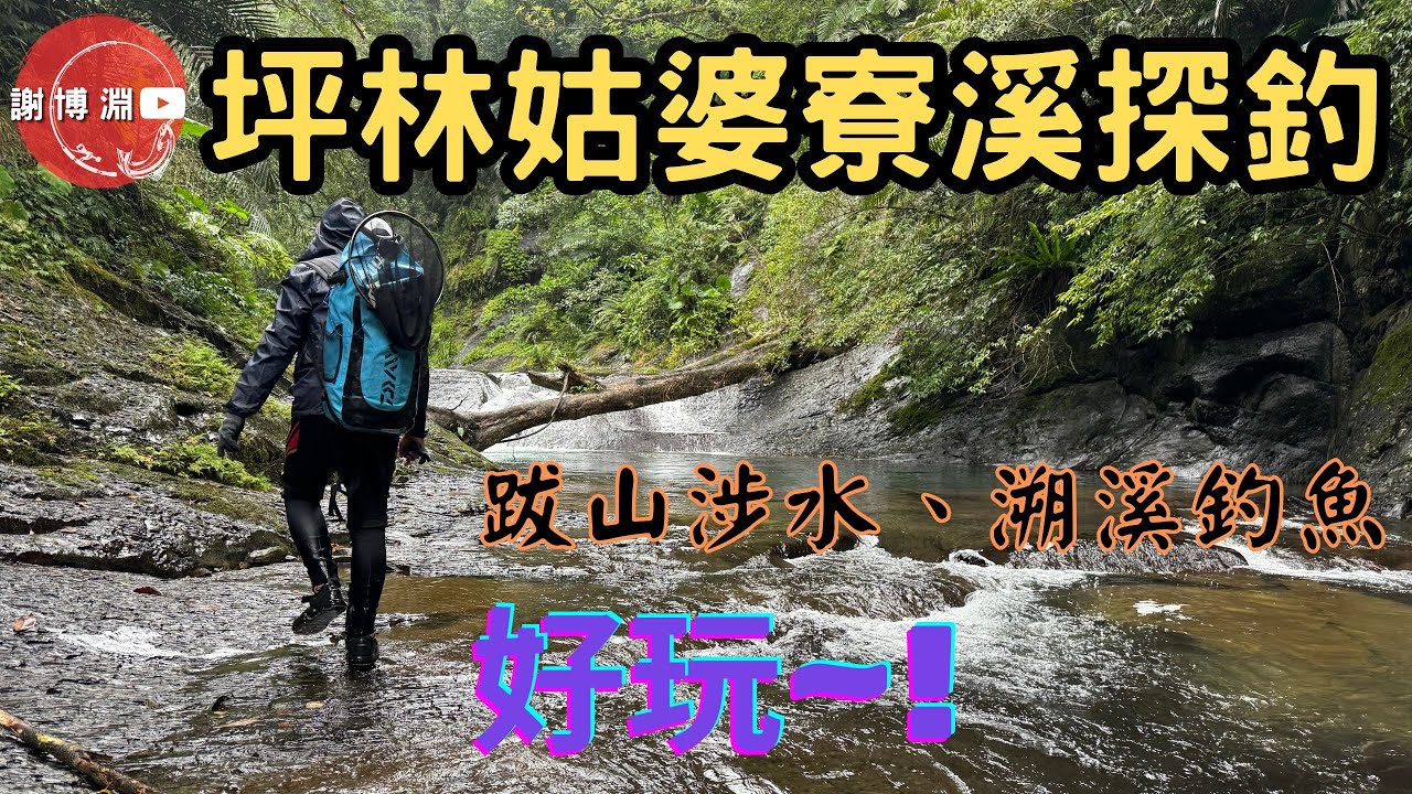 【苦花】漫步坪林姑婆寮溪｜來一場輕鬆的釣遊｜尺花、斷竿樣樣來｜Fishing