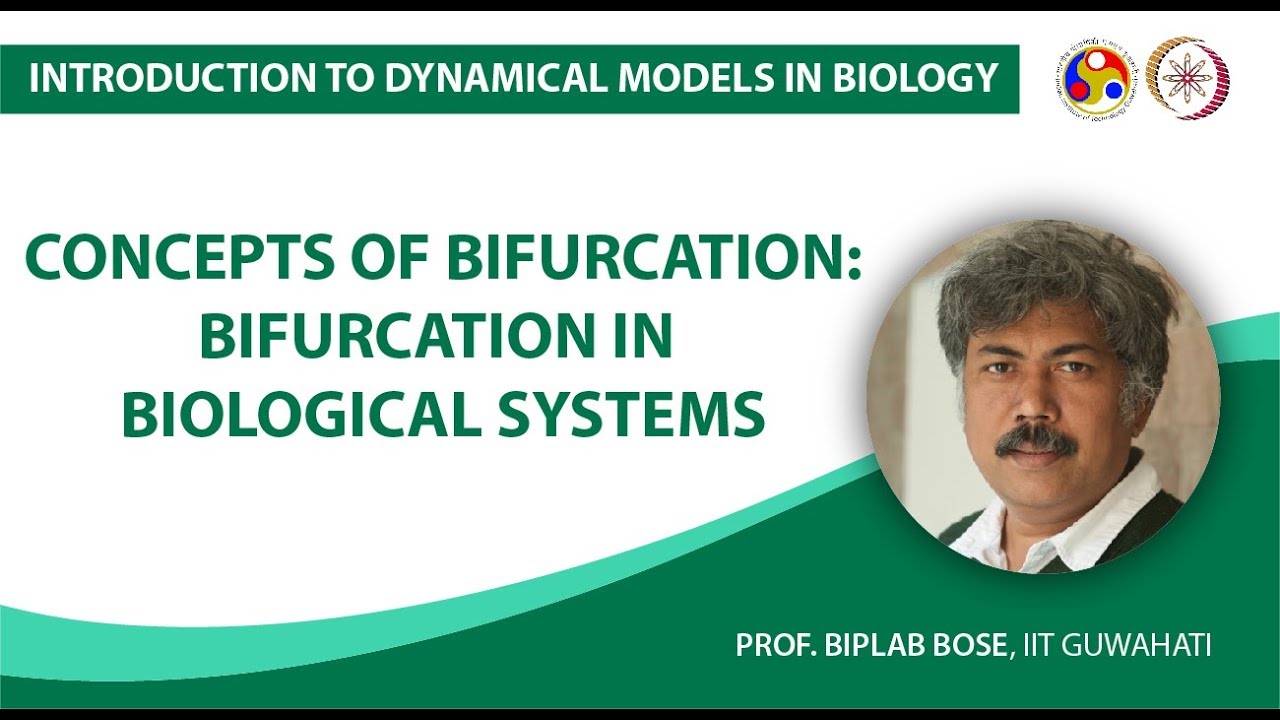 Concepts of Bifurcation: Bifurcation in Biological Systems
