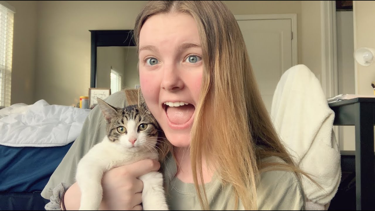 I ADOPTED A KITTEN!!!