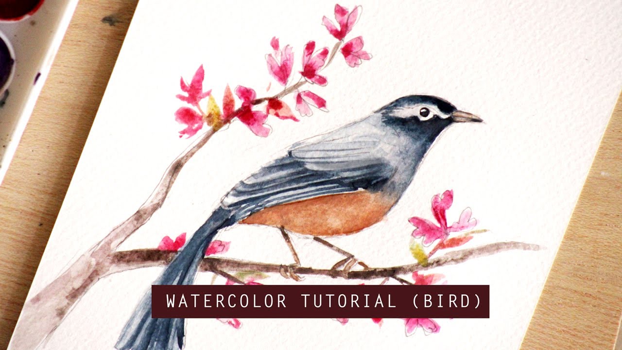 Watercolor bird tutorial
