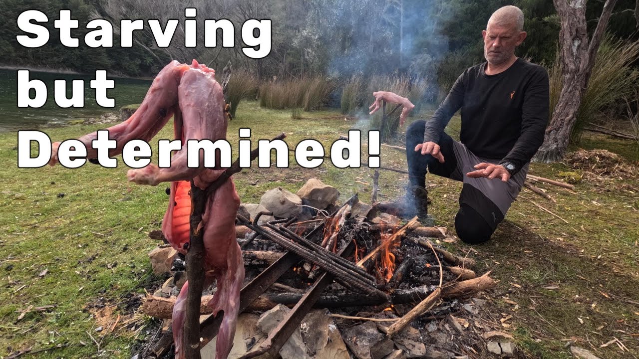 14 day survival challenge (DAY 10-11)