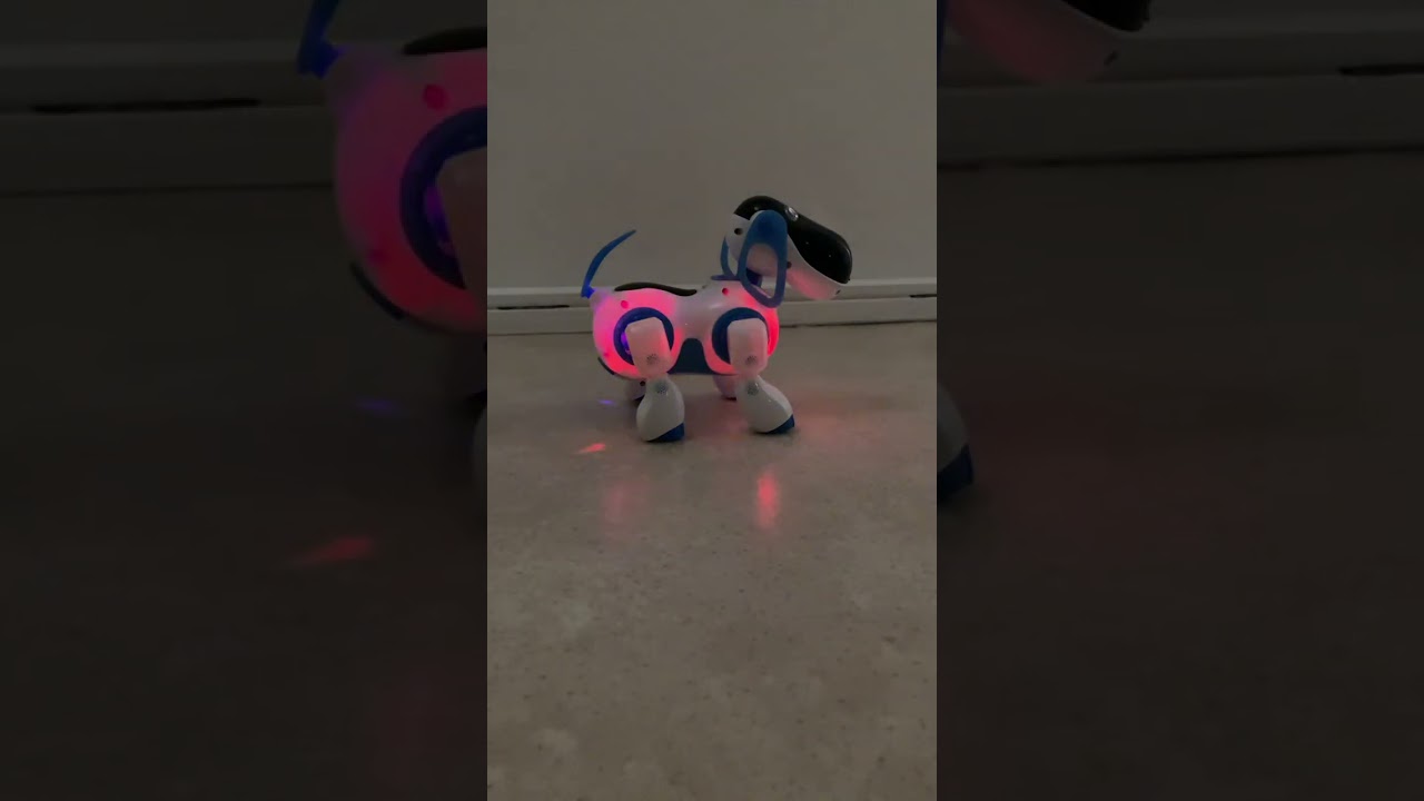 Robothund @Bellatotti-Tradera-Videos