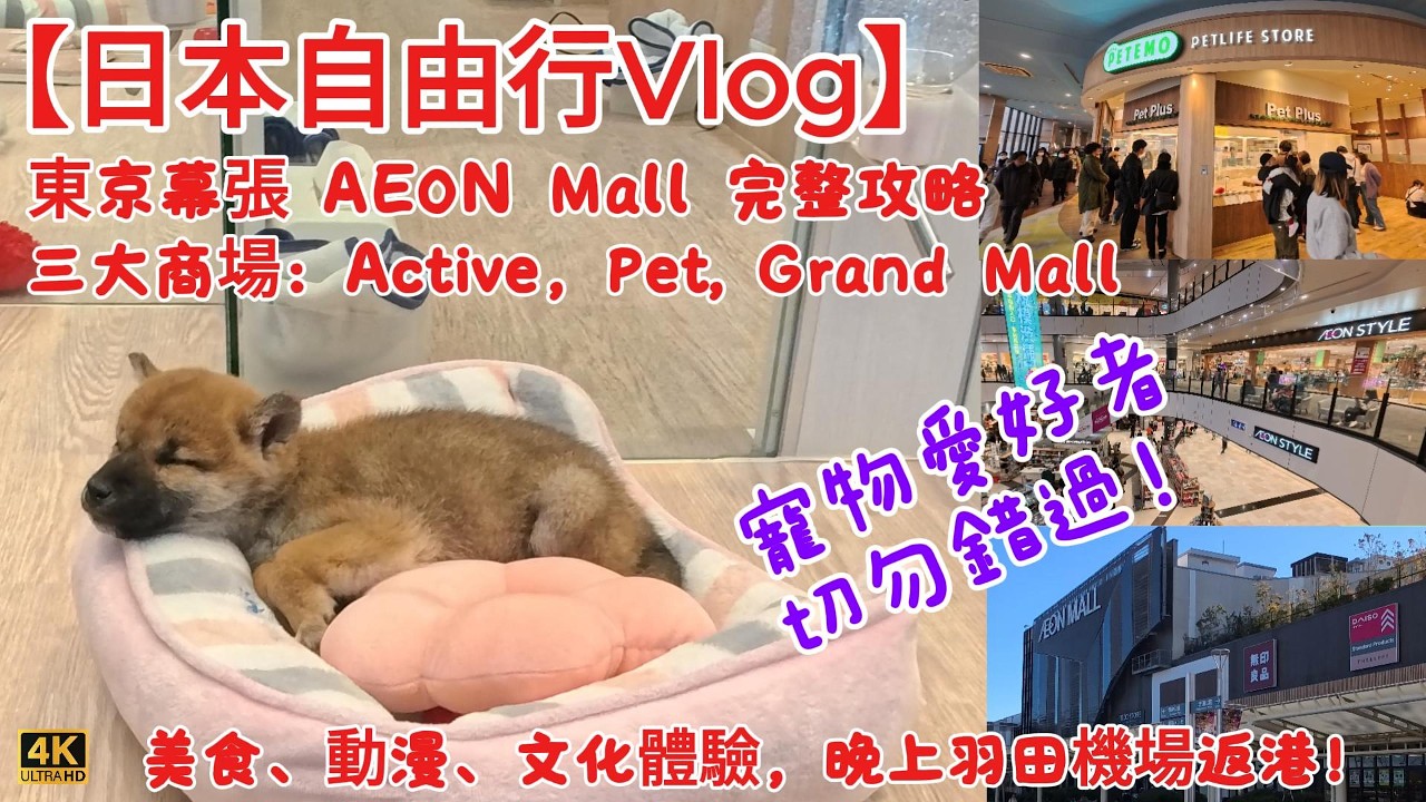 【日本自由行Vlog】東京幕張新都心AEON Mall超完整攻略！日本最大級Pet Mall寵物廣場超可愛，購物、美食、動漫、文化，三大商場一次逛到盡，東京最後一日這樣玩！晚上羽田機場回港實錄《4K》