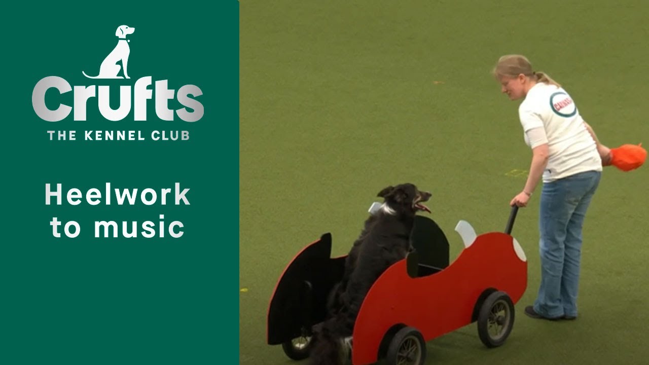 Heelwork To Music - Freestyle International Competition Part 2 | Crufts 2023