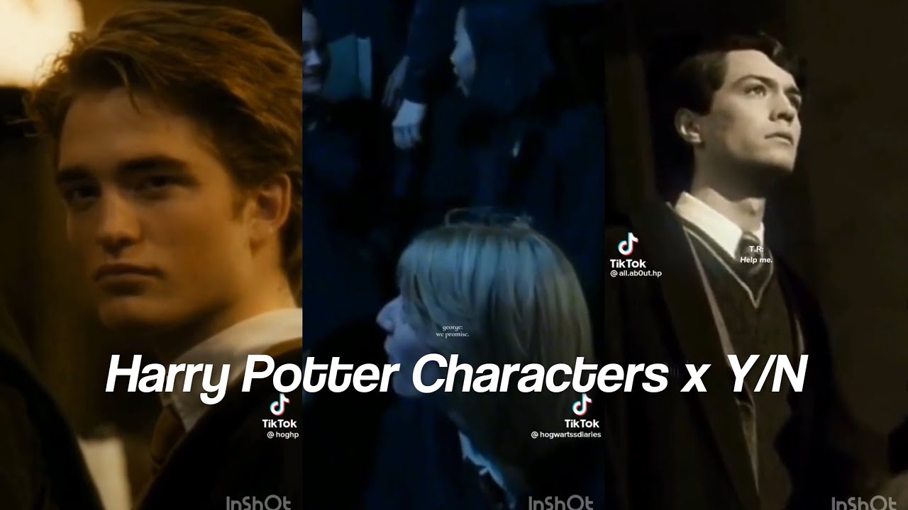 Harry Potter Characters x Y/N TikTok POV