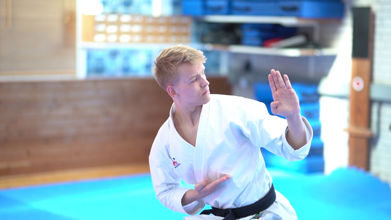 SANSAI no kata with EXPLAINED details