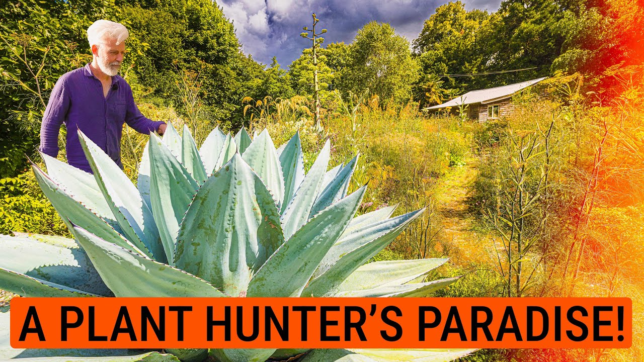 Pan Global Plants - A Summer Garden Tour with Nick Macer