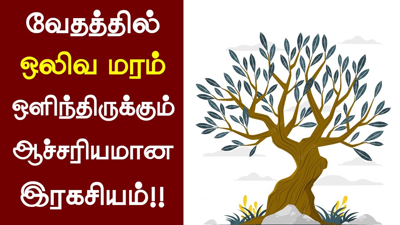 92- ஒலிவ மரம் ஆச்சரியமான இரகசியம்-Peter Madhavan Tamil Christian Message-Bible Facts-Olive Tree