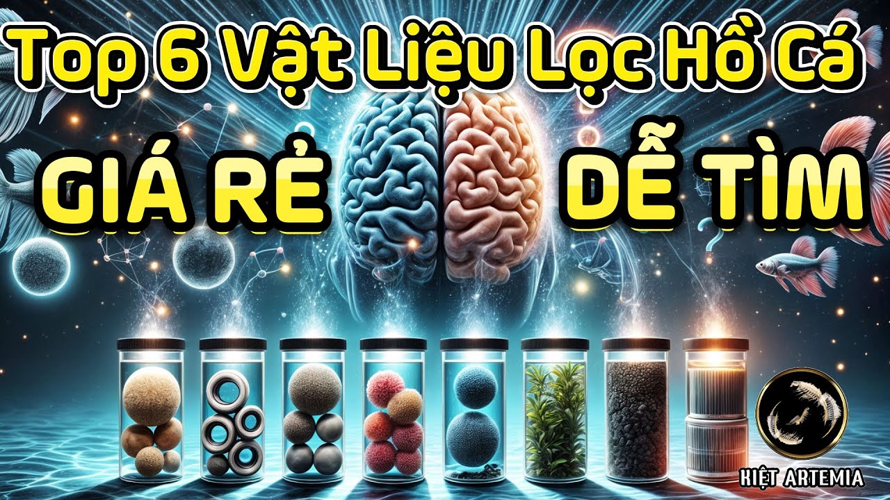 Top 6 Vật Liệu Lọc Hồ Cá Giá Rẻ Tốt Nhất! Vật Liệu Lọc Bể Cá Hiệu Quả