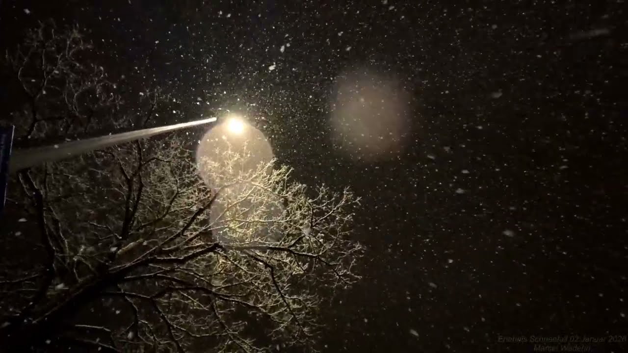 Kräftiger Schneefall 02 Januar 2026 Friedrichshafen