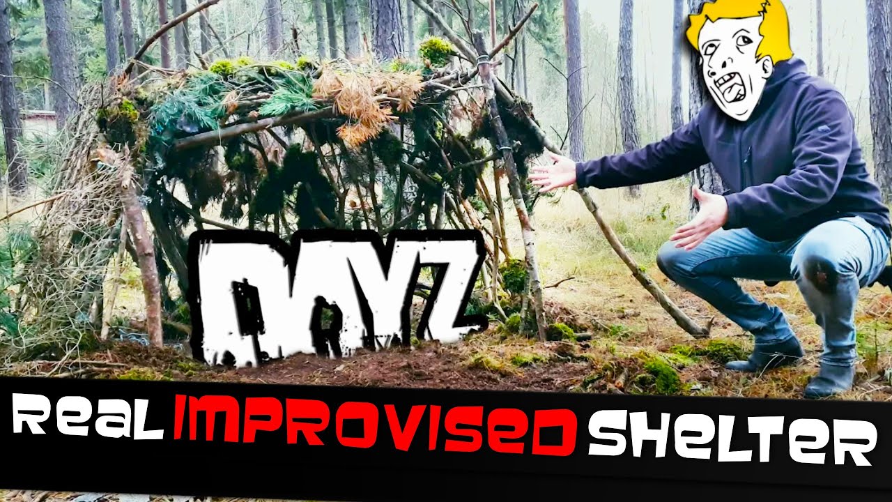 ⛺️ Let's build REAL improvised shelter based on DayZ recipe 📺 | DayZ English